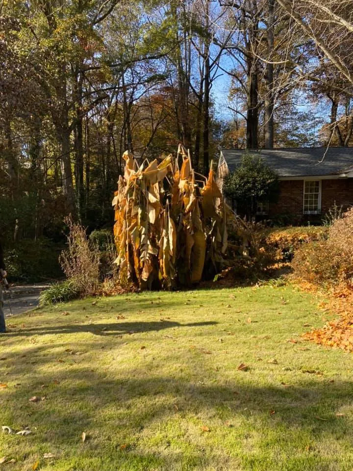 Professional garden landscaping near you in Cedartown, GA by Senor Clean