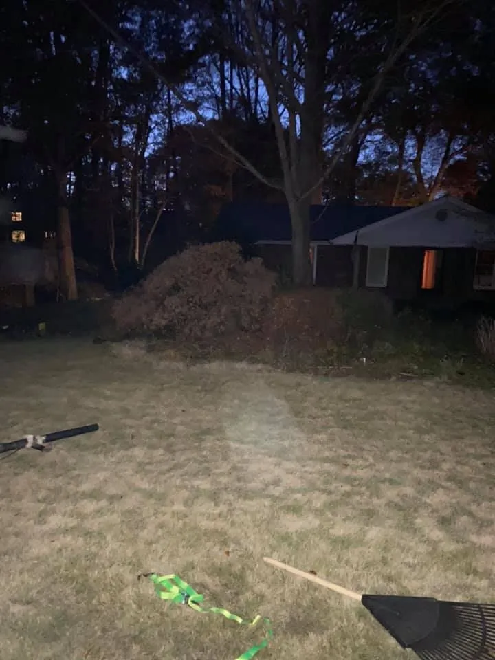 Top-rated landscaping services in Cedartown, GA - Senor Clean