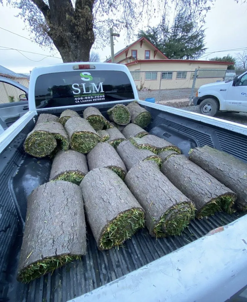 Reliable lawn care service with custom design in San Jose, CA by Senot Landscape Management