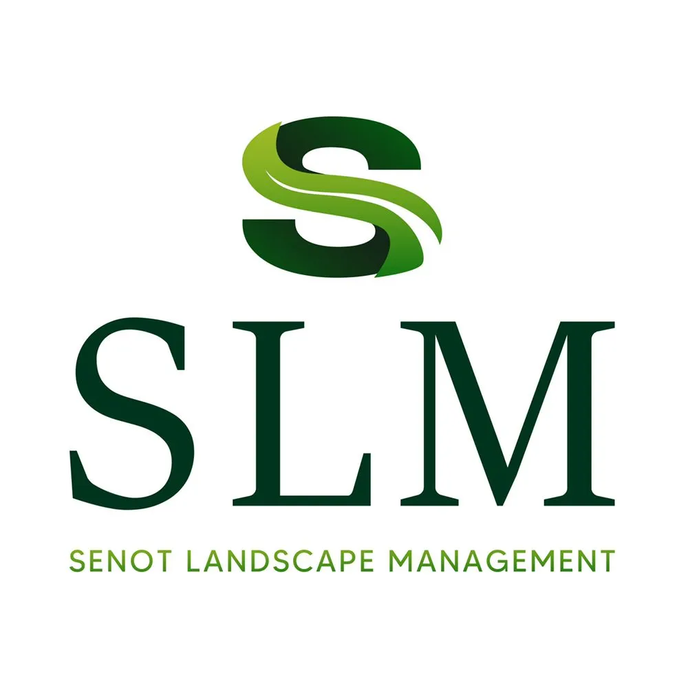 Custom yard maintenance for beautiful yards in San Jose, CA by Senot Landscape Management