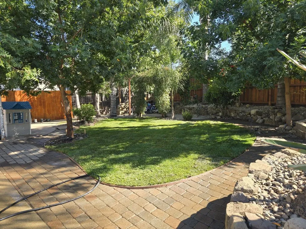 Reliable yard maintenance in Elk Grove, CA by Sen's landscaping