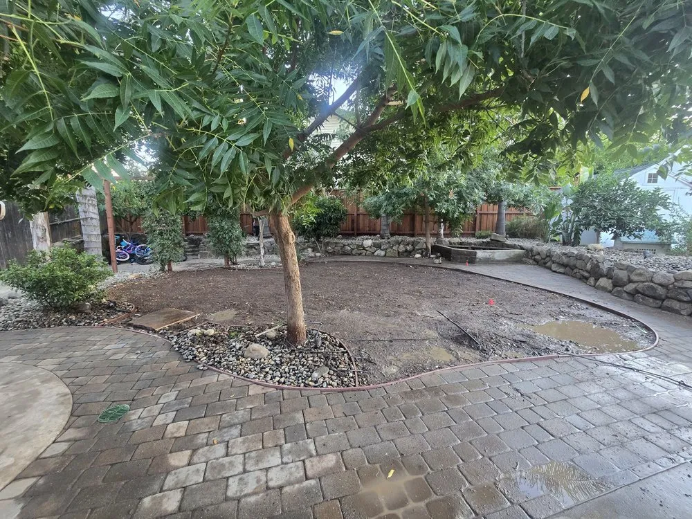 Local landscaping services for homes across Elk Grove, CA - Sen's landscaping