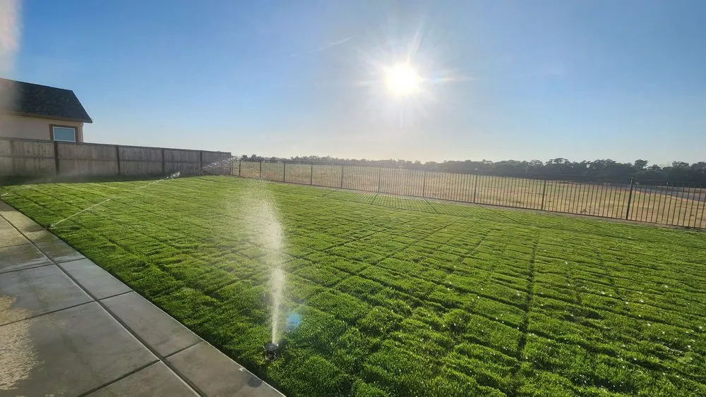 Local yard maintenance in Elk Grove, CA - Sen's landscaping