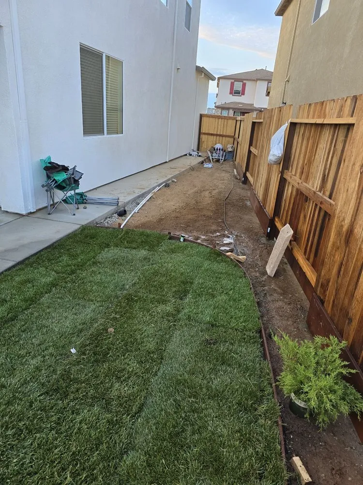 Expert yard cleanup service experts serving Elk Grove, CA - Sen's landscaping