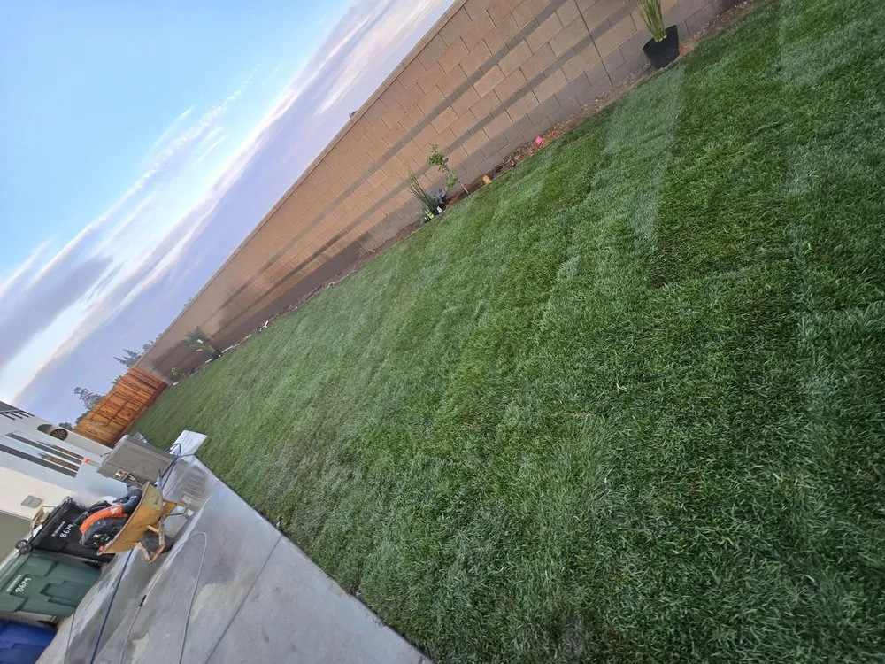 Reliable landscape design for beautiful yards in Elk Grove, CA by Sen's landscaping