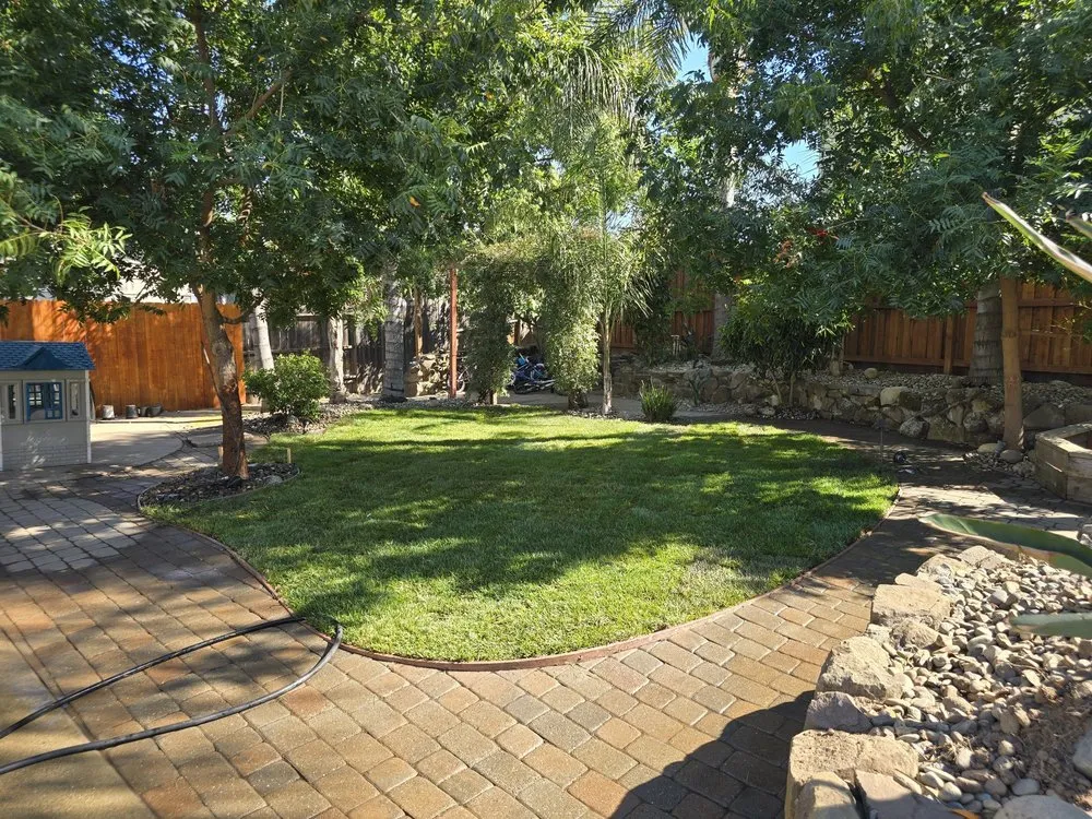 Expert residential landscaping with custom design in Elk Grove, CA by Sen's landscaping