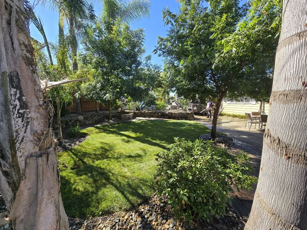 Expert yard maintenance near you in Elk Grove, CA by Sen's landscaping
