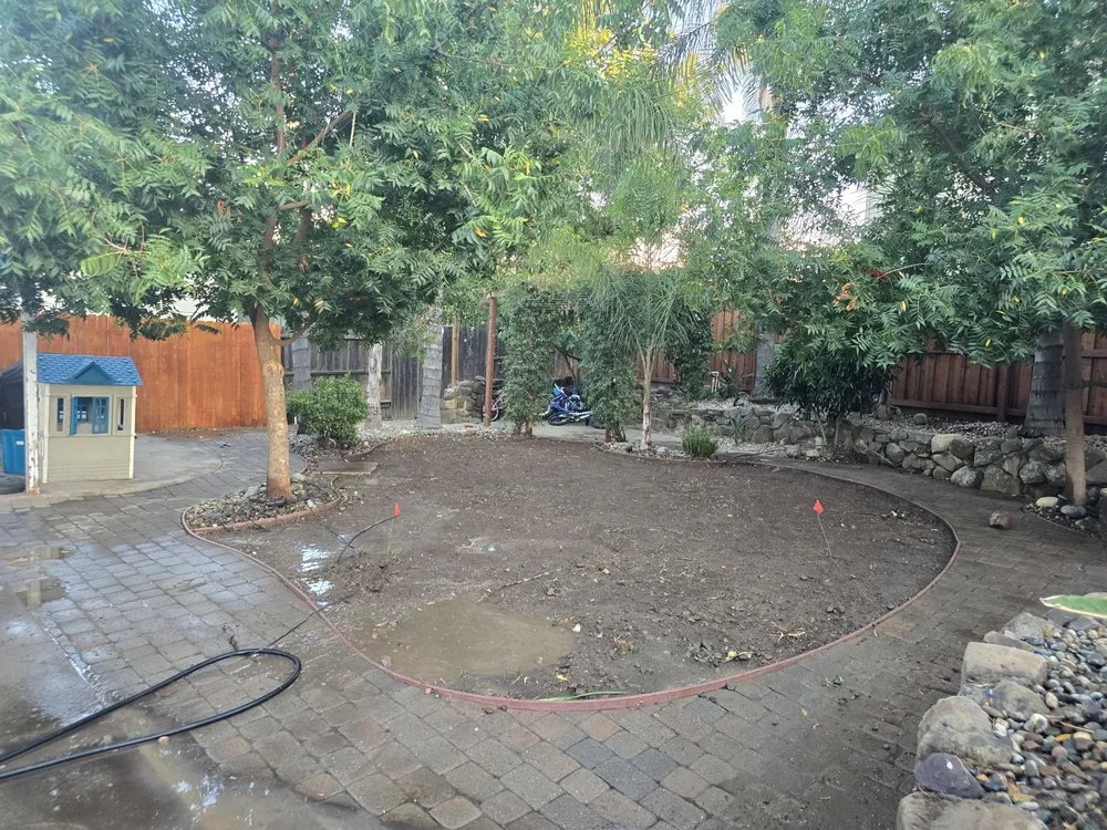 Reliable yard cleanup service in Elk Grove, CA - Sen's landscaping