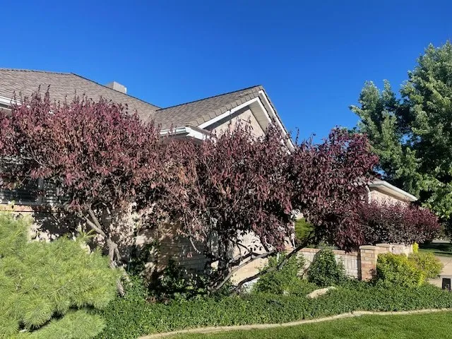 Expert landscaping services for homes across Boise, ID - Senske Services