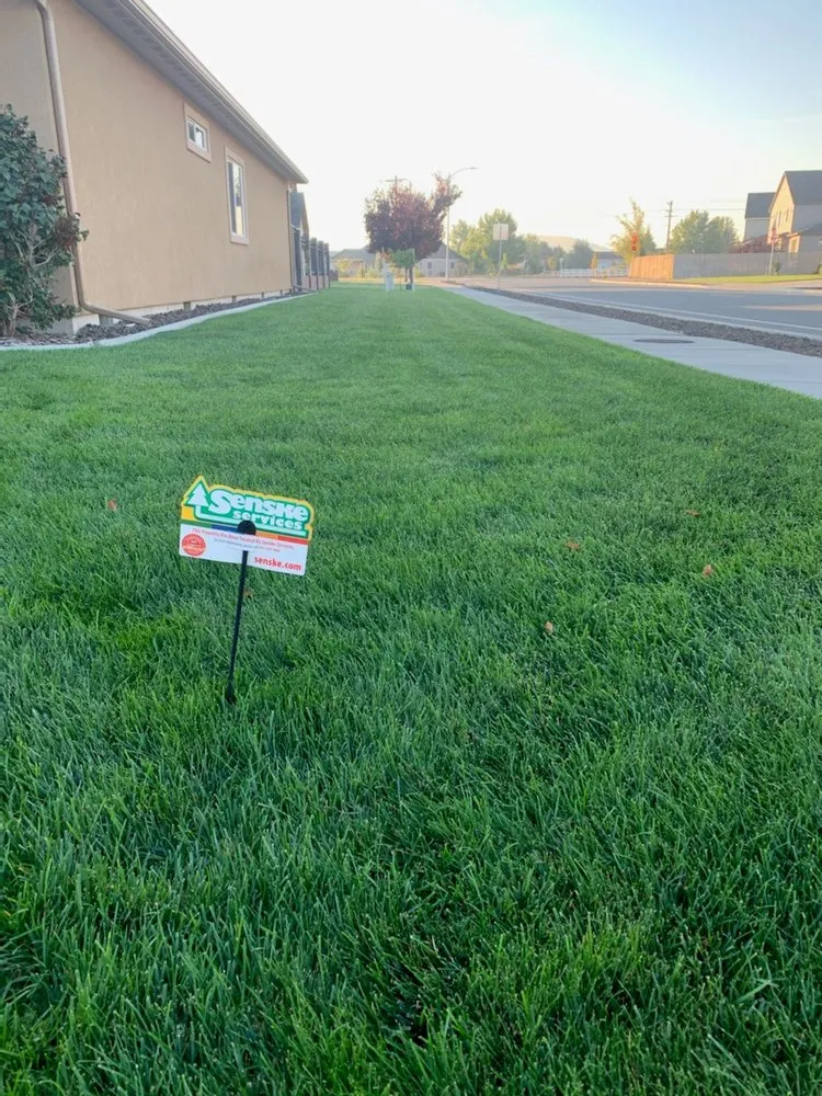 Top-rated yard cleanup service in Boise, ID by Senske Services