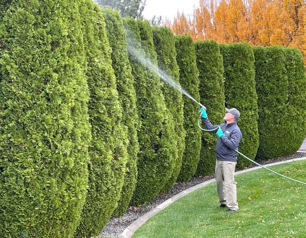 Trusted yard maintenance with custom design across Clarkston, WA - Senske Services