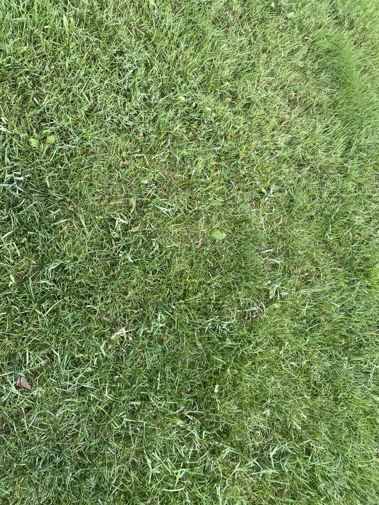 Top-rated residential landscaping in Idaho Falls, ID - Senske Services