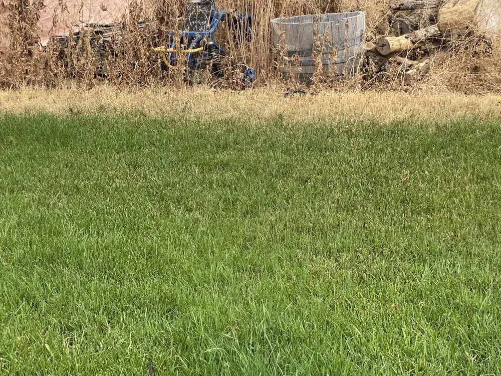 Professional outdoor landscaping experts serving Idaho Falls, ID - Senske Services