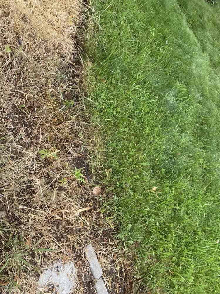 Affordable yard maintenance experts serving Idaho Falls, ID - Senske Services