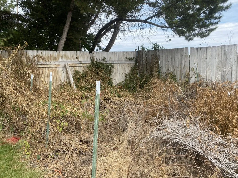 Expert landscape design experts serving Idaho Falls, ID - Senske Services