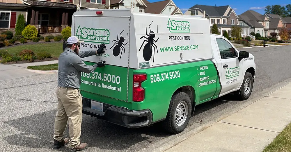 Professional lawn mowing service experts serving Lakewood, WA - Senske Services