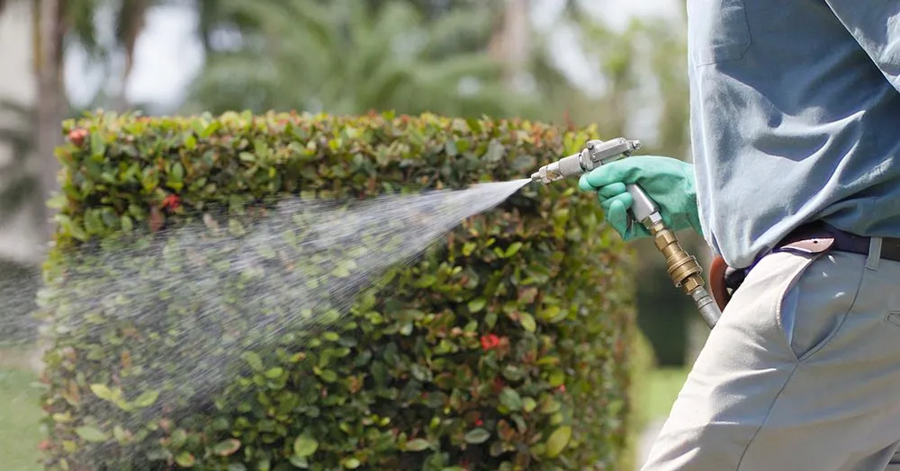 Top-rated landscape installation for year-round maintenance across Mukilteo, WA - Senske Services