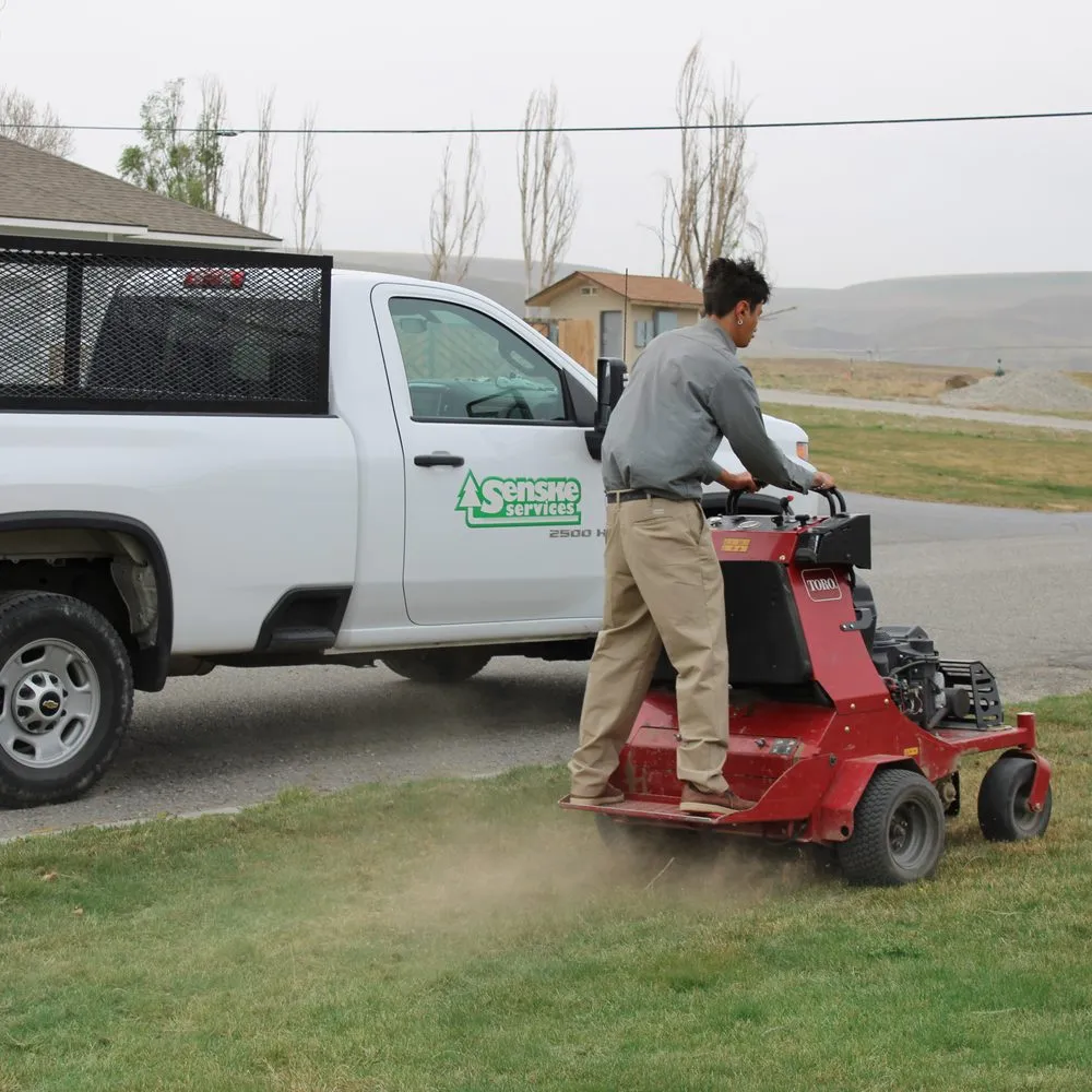 Expert landscape installation experts serving Mukilteo, WA - Senske Services