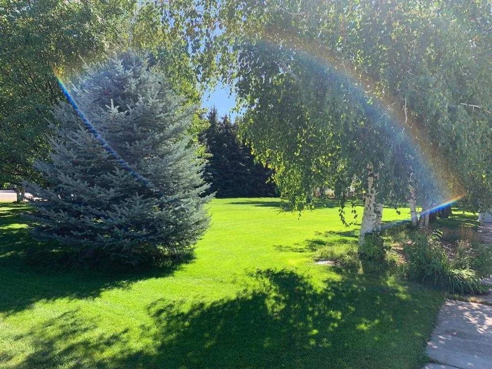 Expert lawn care service experts serving Ogden, UT - Senske Services