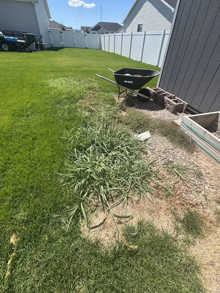 Affordable lawn mowing service in Ogden, UT by Senske Services