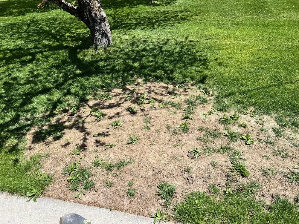 Trusted garden landscaping for residential properties in Salt Lake City, UT by Senske Services