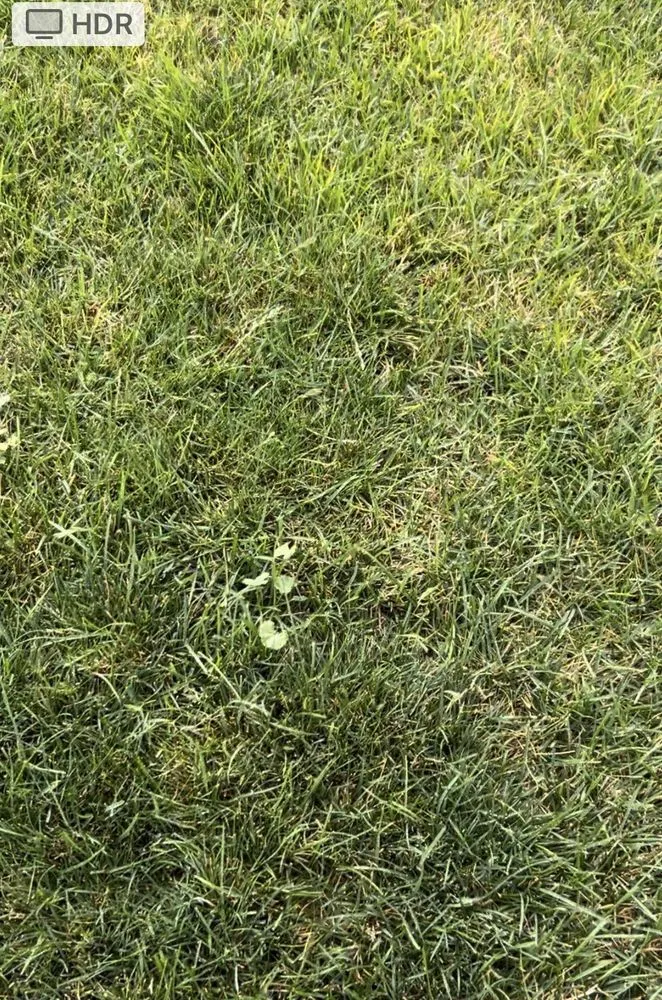 Trusted lawn care service with custom design in Salt Lake City, UT by Senske Services