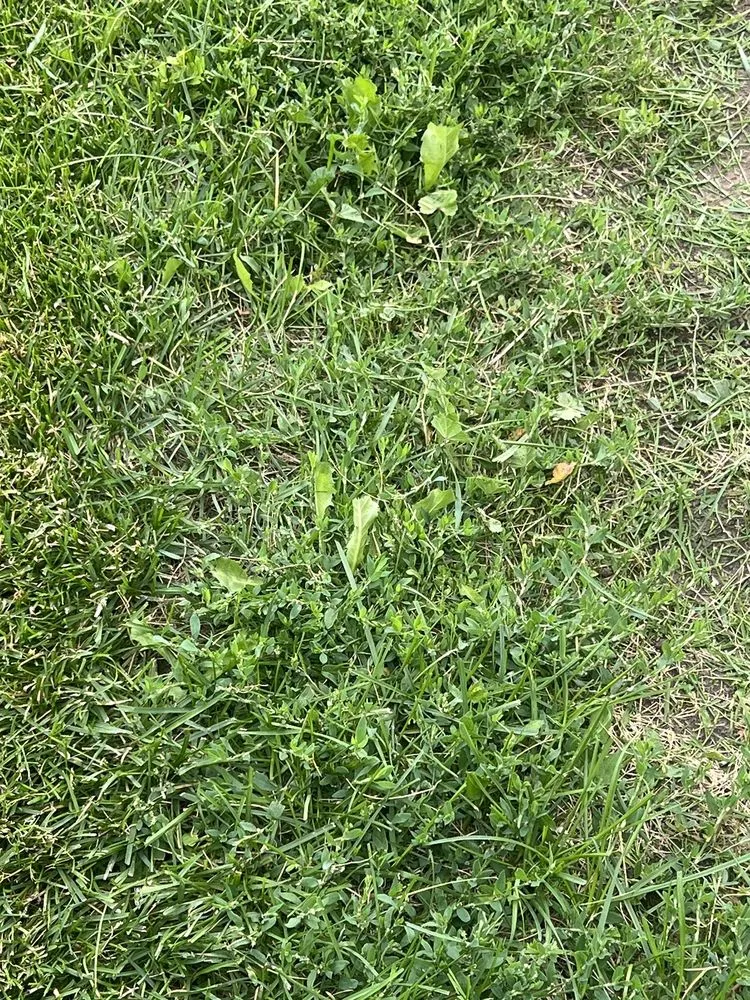 Reliable garden landscaping near you in Salt Lake City, UT by Senske Services