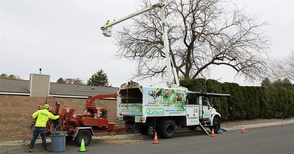 Trusted landscape installation for year-round maintenance across Spokane Valley, WA - Senske Services
