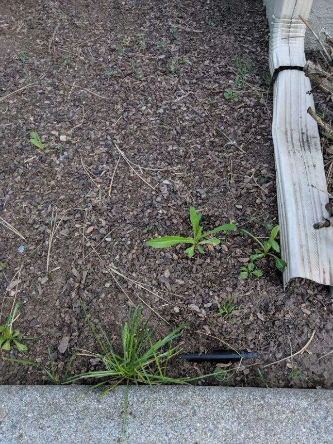 Custom residential landscaping in Spokane Valley, WA - Senske Services