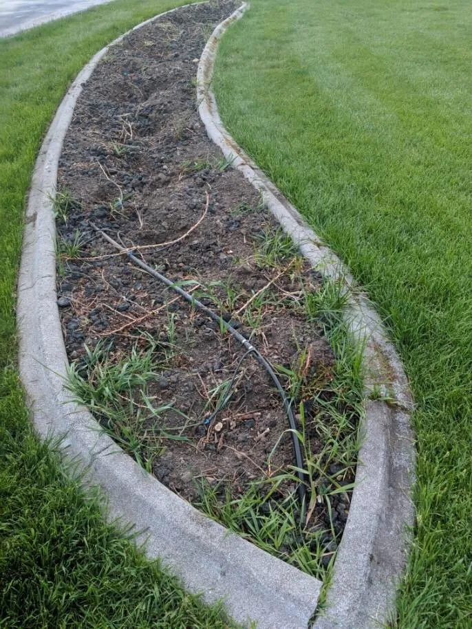 Professional lawn care service experts serving Spokane Valley, WA - Senske Services