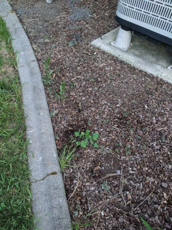 Affordable landscaping services in Spokane Valley, WA by Senske Services