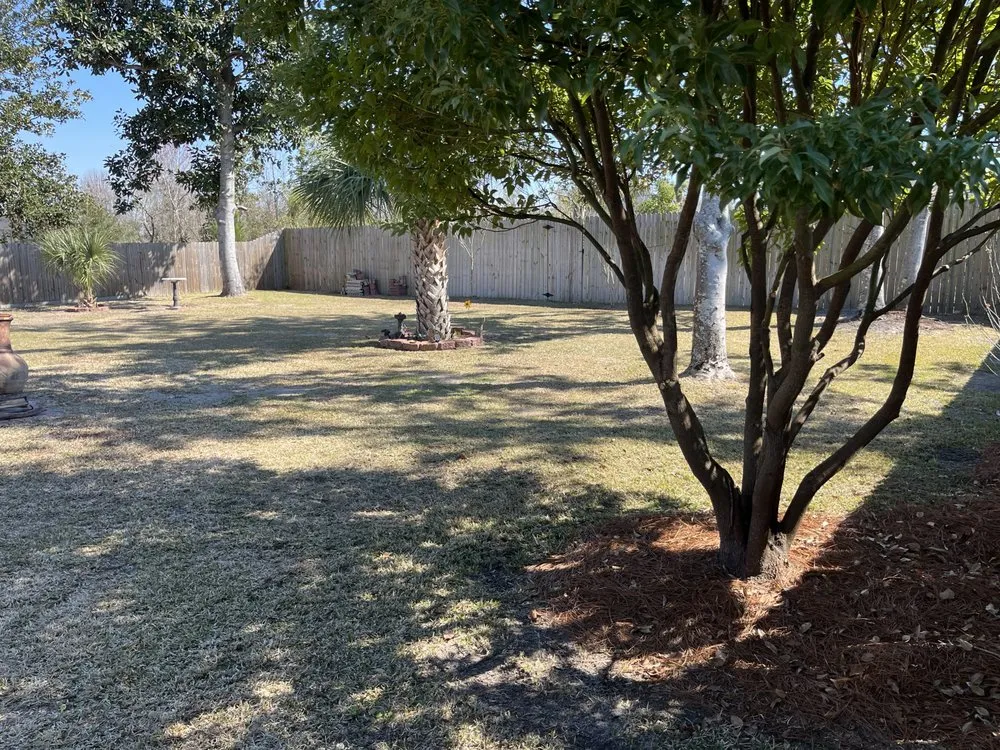 Reliable yard cleanup service experts serving Lynn Haven, FL - Senterfitt Lawn Care