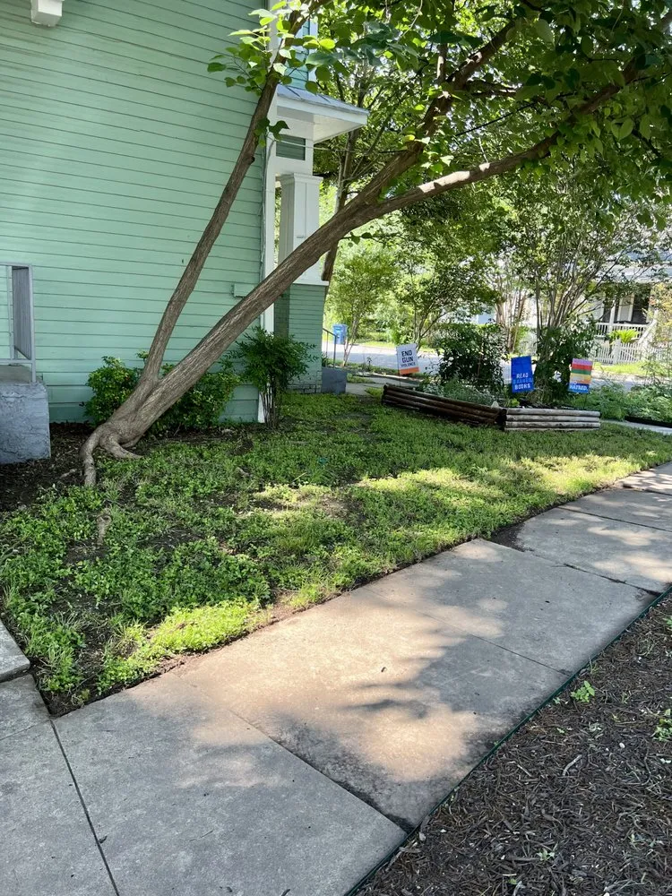 Reliable landscaping services in San Antonio, TX - Sentinel Lawn & Landscape