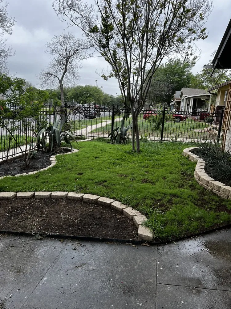 Professional yard cleanup service in San Antonio, TX - Sentinel Lawn & Landscape