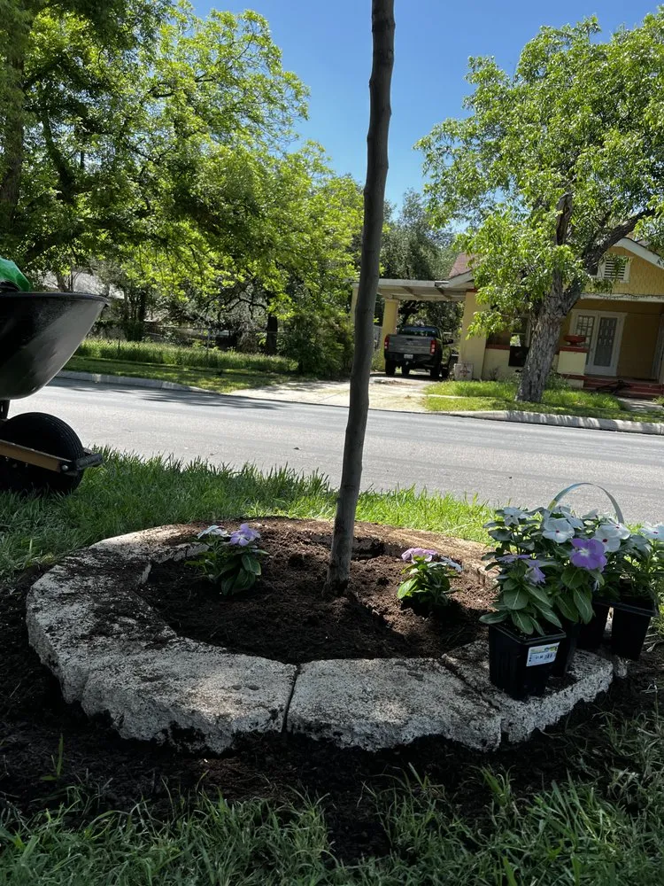 Local landscape installation in San Antonio, TX by Sentinel Lawn & Landscape