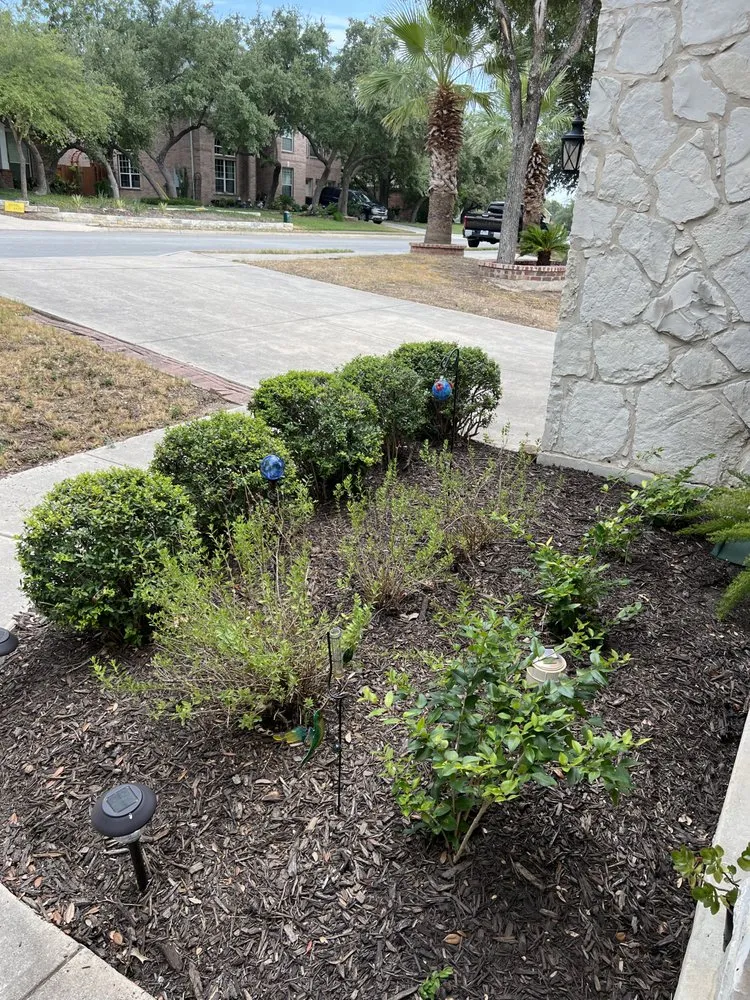 Reliable landscape installation for homes in San Antonio, TX by Sentinel Lawn & Landscape