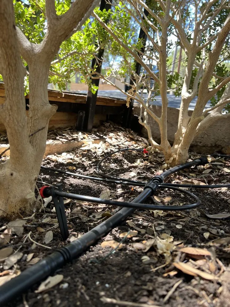 Reliable lawn mowing service for beautiful yards across San Antonio, TX - Sentinel Lawn & Landscape