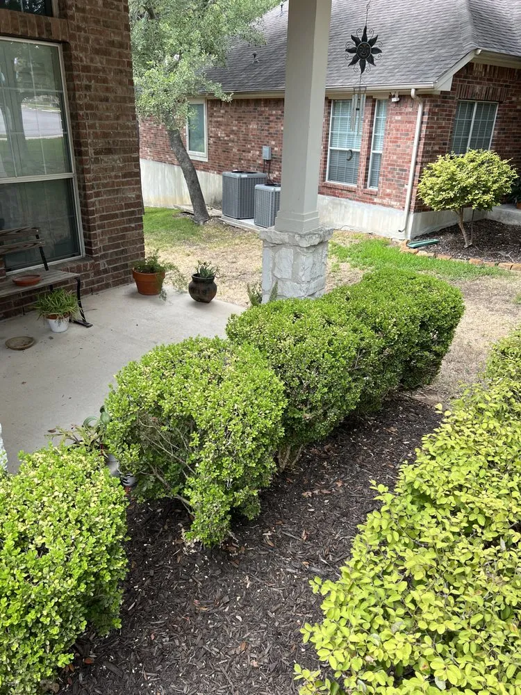 Trusted yard cleanup service with custom design in San Antonio, TX by Sentinel Lawn & Landscape