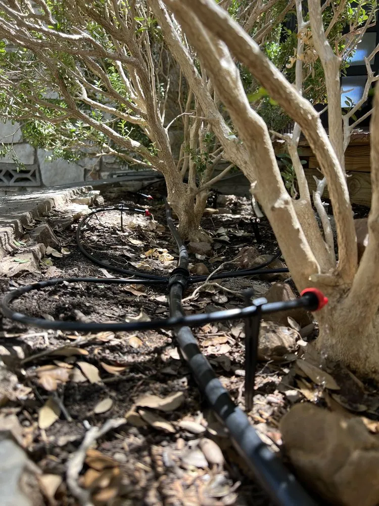 Professional outdoor landscaping in San Antonio, TX by Sentinel Lawn & Landscape