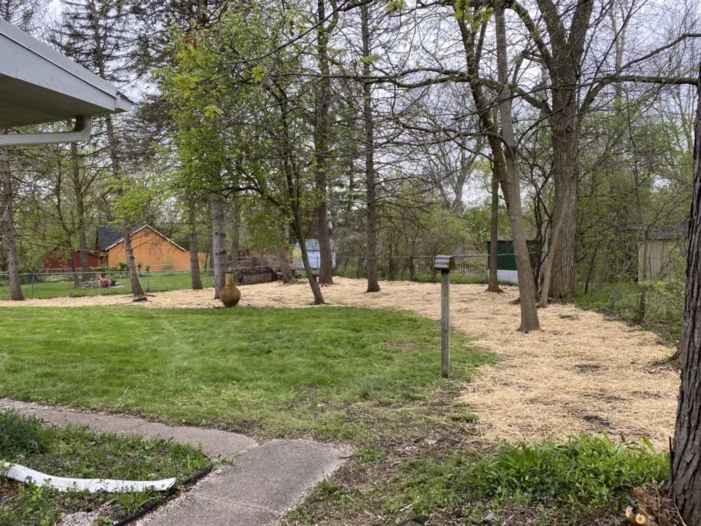Trusted yard cleanup service in Ypsilanti, MI by Sentinel Lawn Care