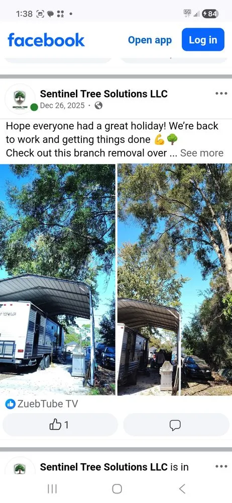 Professional residential landscaping in Lake Mary, FL by Sentinel Tree Solutions