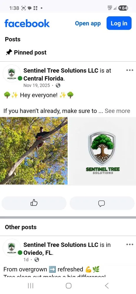 Professional outdoor landscaping near you across Lake Mary, FL - Sentinel Tree Solutions