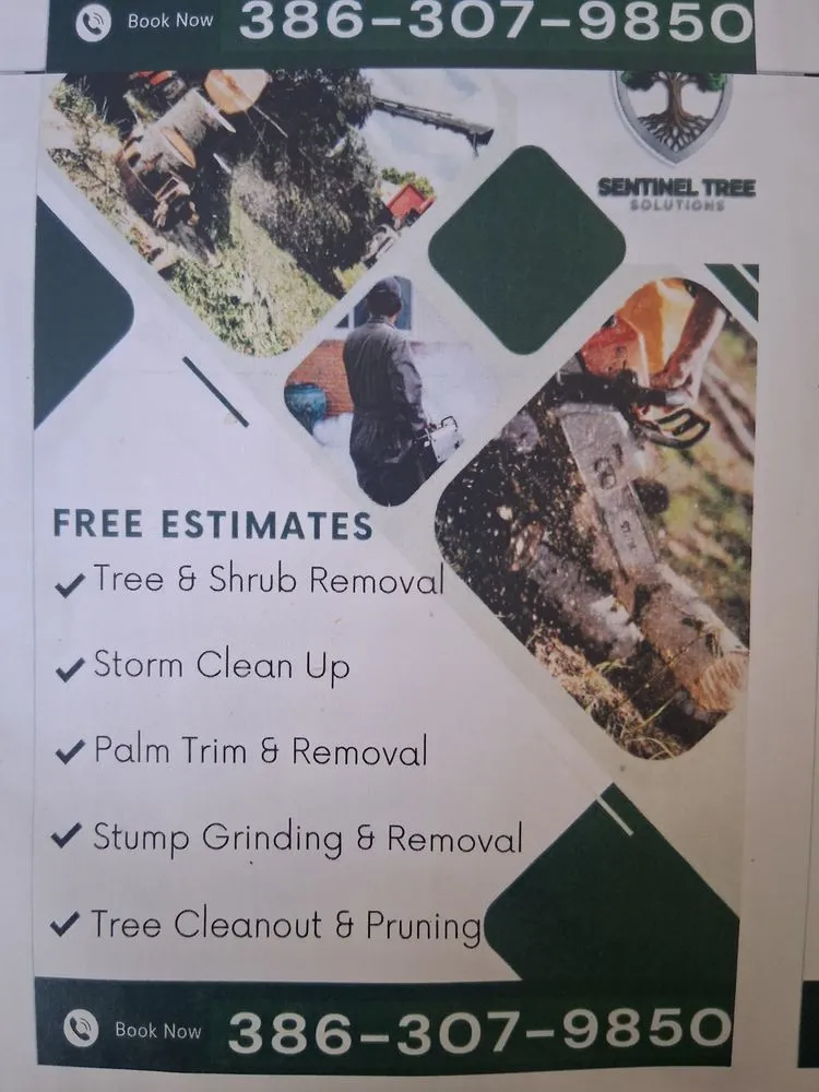 Local outdoor landscaping for beautiful yards across Lake Mary, FL - Sentinel Tree Solutions