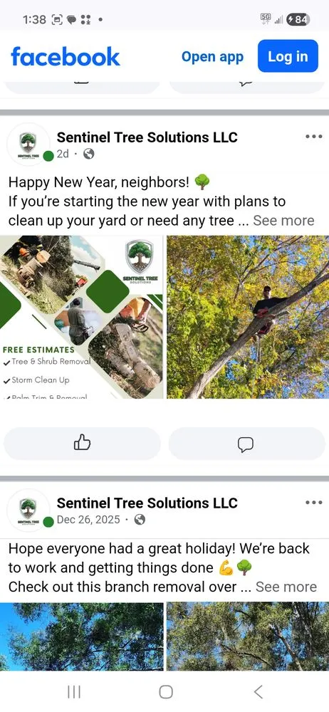 Professional yard maintenance for year-round maintenance across Lake Mary, FL - Sentinel Tree Solutions