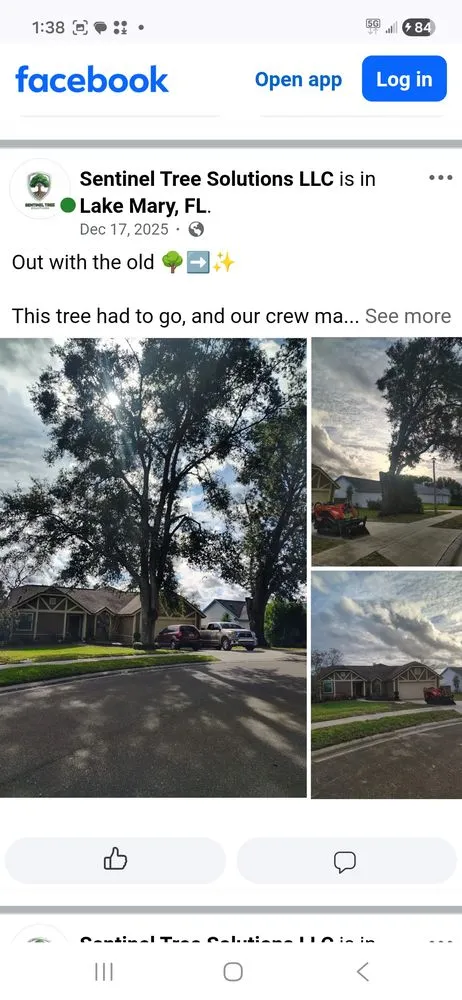 Custom landscape design in Lake Mary, FL - Sentinel Tree Solutions