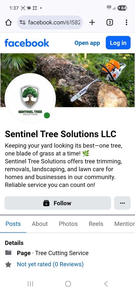 Reliable landscape design in Lake Mary, FL by Sentinel Tree Solutions