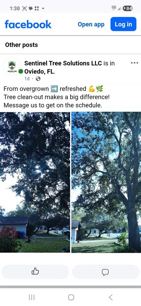 Affordable yard cleanup service in Lake Mary, FL by Sentinel Tree Solutions