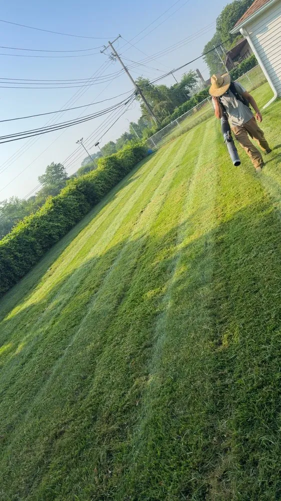 Professional residential landscaping near you in Taylor, MI by Sentry Property Services