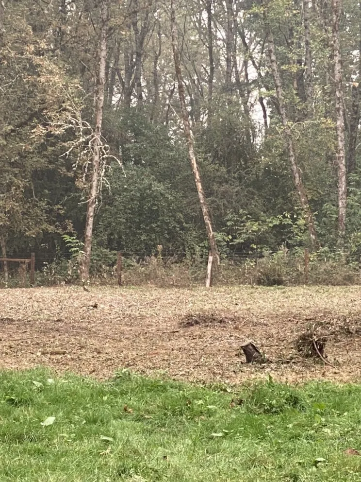 Affordable lawn mowing service in Portland, OR - SEP Tree Service