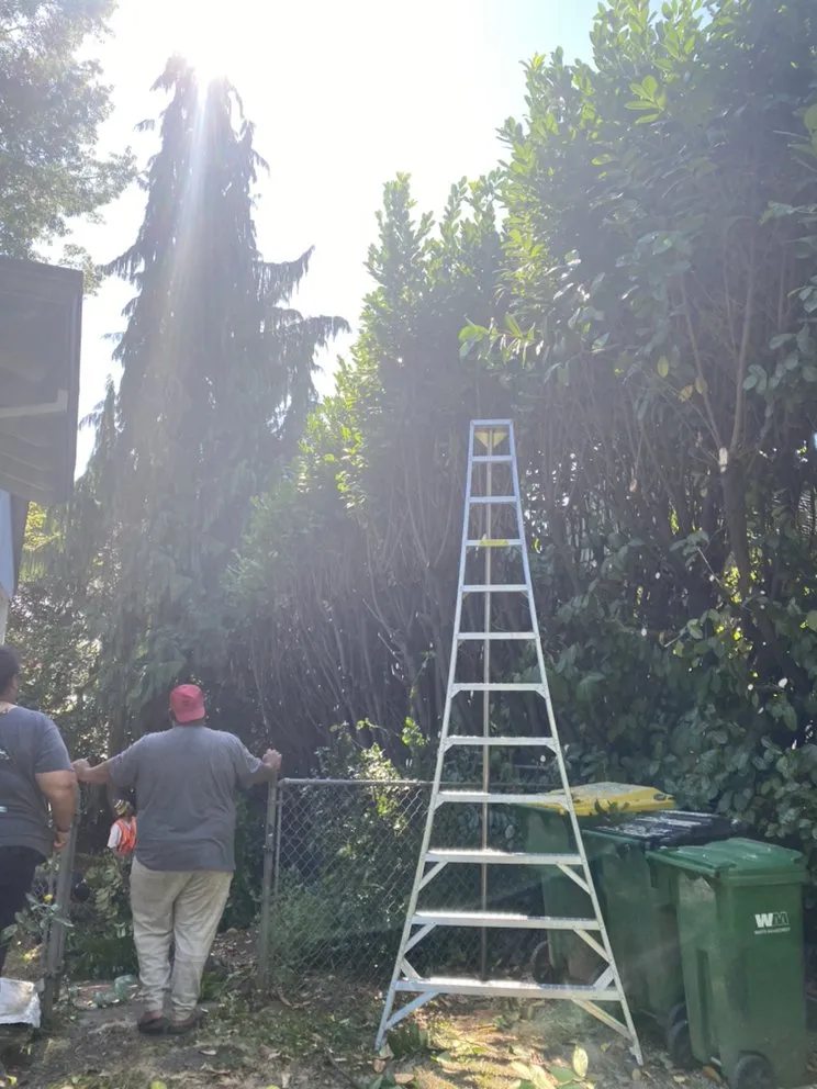 Expert residential landscaping experts serving Portland, OR - SEP Tree Service